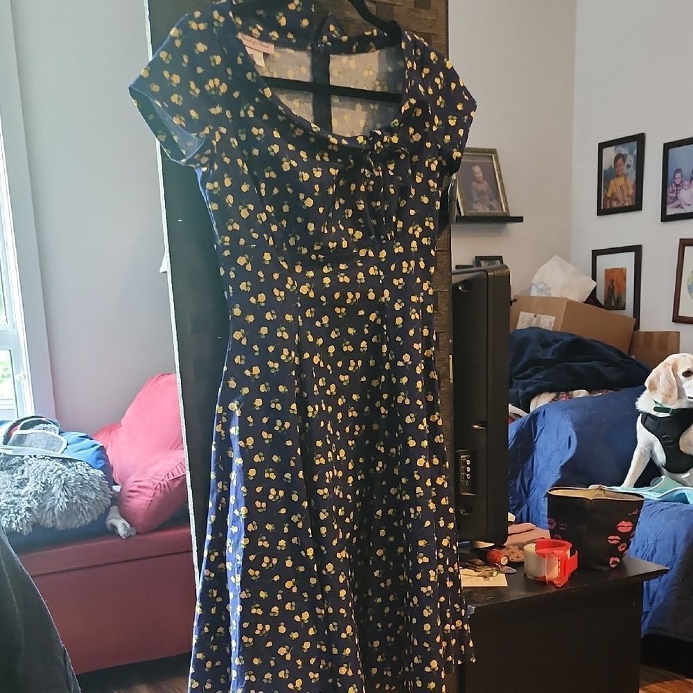 Heart Of Haute Floral Navy Dress Size S NWT